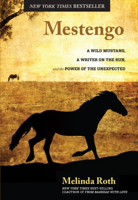 Mestengo : A Wild Mustang, a Writer on the Run, and the Power of the Unexpected, EPUB eBook