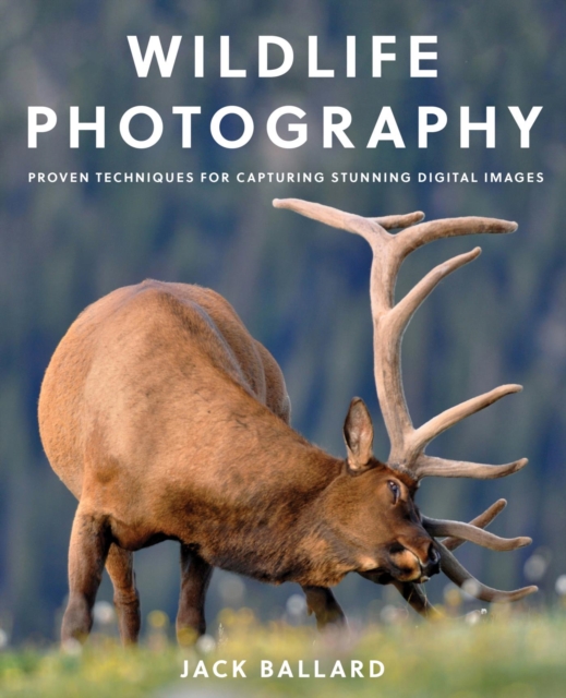 Wildlife Photography : Proven Techniques for Capturing Stunning Digital Images, EPUB eBook