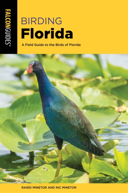 Birding Florida : A Field Guide to the Birds of Florida, EPUB eBook