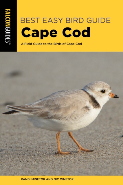 Best Easy Bird Guide Cape Cod : A Field Guide to the Birds of Cape Cod, EPUB eBook