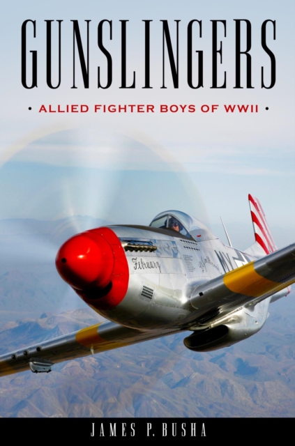 Gunslingers : Allied Fighter Boys of WWII, EPUB eBook