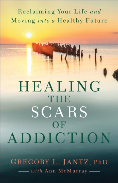 Healing the Scars of Addiction : Reclaiming Your Life and Moving into a Healthy Future, EPUB eBook