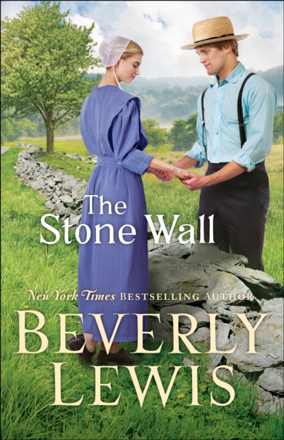 The Stone Wall, EPUB eBook