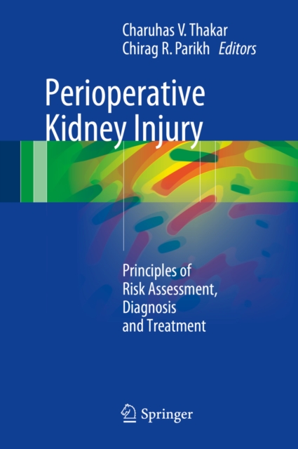 Perioperative Kidney Injury : Principles of Risk Assessment, Diagnosis and Treatment, PDF eBook