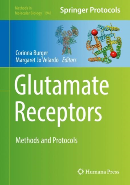 Glutamate Receptors : Methods and Protocols, Hardback Book