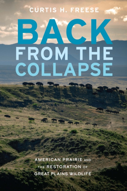 Back from the Collapse : American Prairie and the Restoration of Great Plains Wildlife, PDF eBook