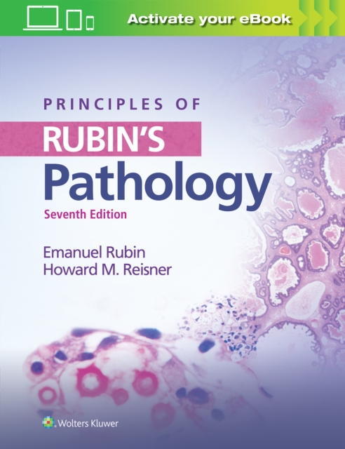 Principles of Rubin's Pathology, Paperback / softback Book