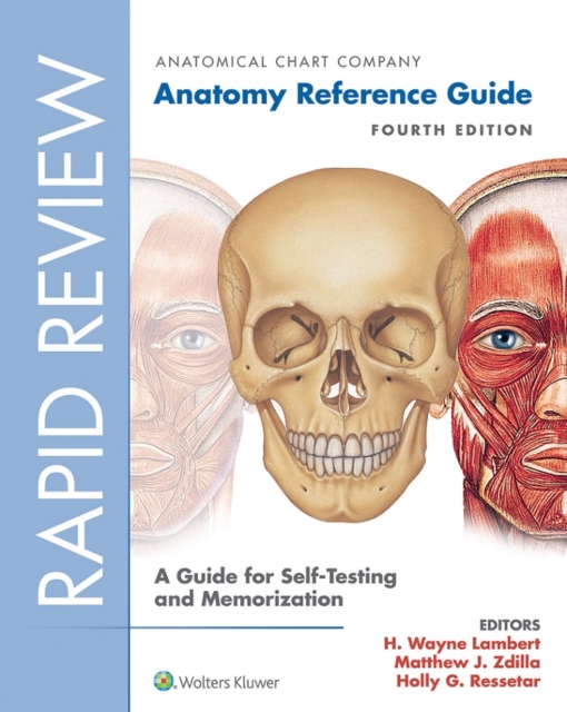 Rapid Review: Anatomy Reference Guide : A Guide for Self-Testing and Memorization, EPUB eBook