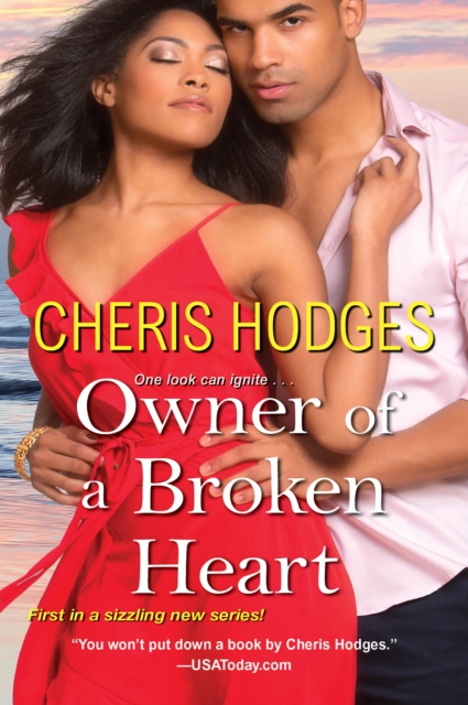 Owner of a Broken Heart, EPUB eBook