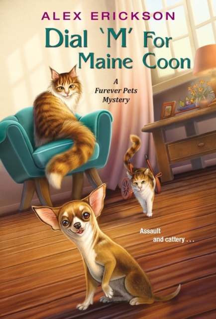 Dial ‘M' for Maine Coon, Paperback / softback Book