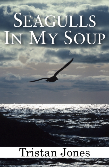 Seagulls in My Soup, EPUB eBook