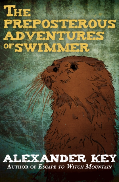 The Preposterous Adventures of Swimmer, EPUB eBook