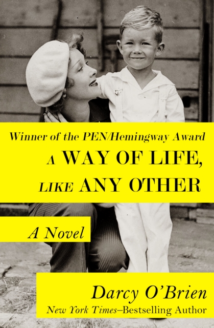 A Way of Life, Like Any Other : A Novel, EPUB eBook