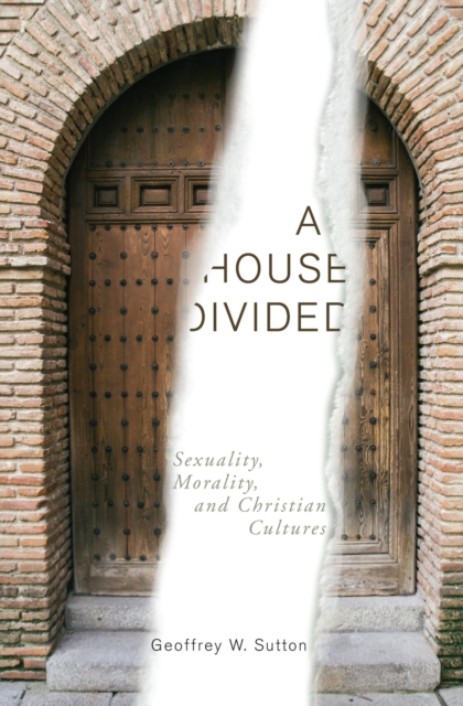 A House Divided : Sexuality, Morality, and Christian Cultures, EPUB eBook