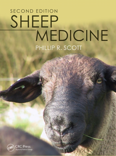 Sheep Medicine, PDF eBook