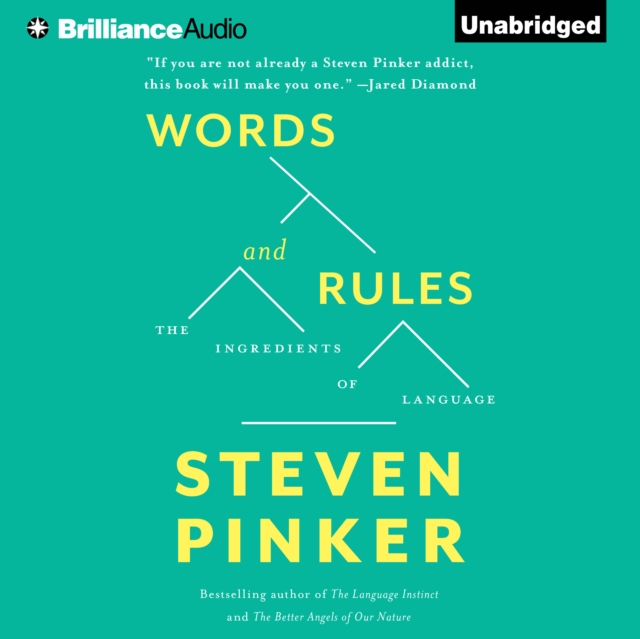 Words and Rules : The Ingredients Of Language, eAudiobook MP3 eaudioBook