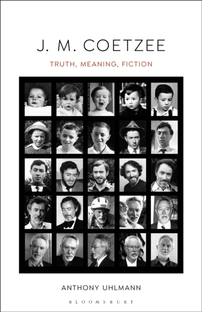 J. M. Coetzee : Truth, Meaning, Fiction, PDF eBook