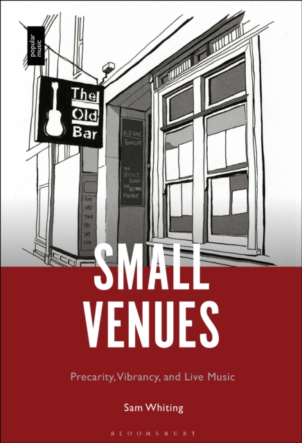 Small Venues : Precarity, Vibrancy and Live Music, PDF eBook