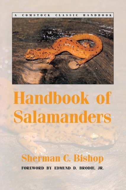 Handbook of Salamanders : The Salamanders of the United States, of Canada, and of Lower California, PDF eBook