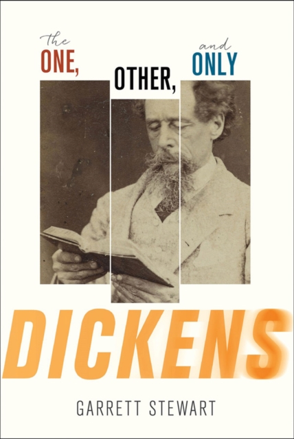 The One, Other, and Only Dickens, PDF eBook