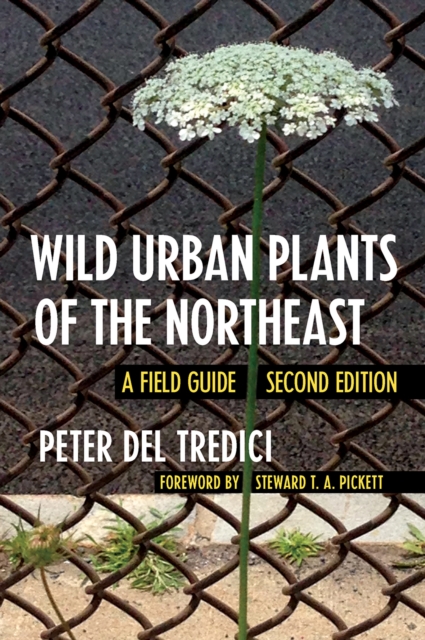 Wild Urban Plants of the Northeast : A Field Guide, EPUB eBook