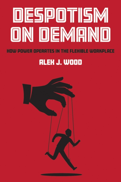 Despotism on Demand : How Power Operates in the Flexible Workplace, EPUB eBook