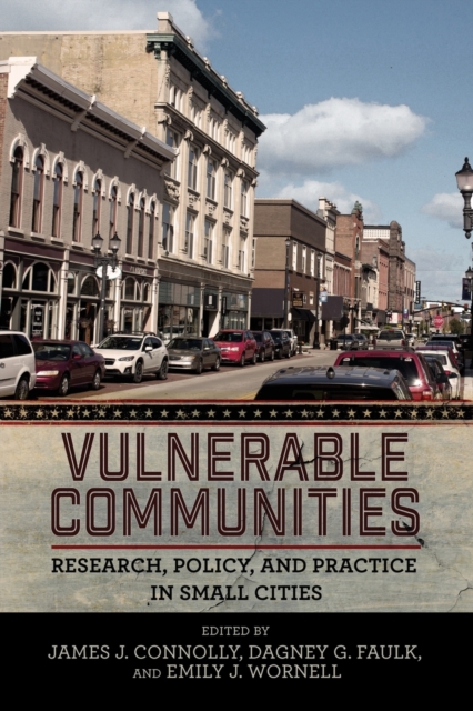 Vulnerable Communities : Research, Policy, and Practice in Small Cities, Paperback / softback Book