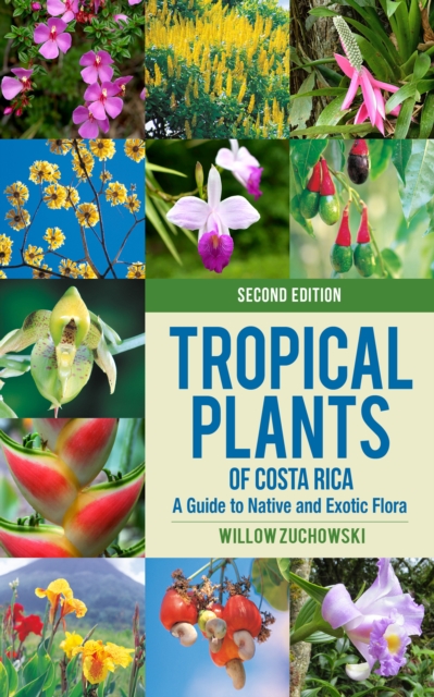 Tropical Plants of Costa Rica : A Guide to Native and Exotic Flora, Paperback / softback Book