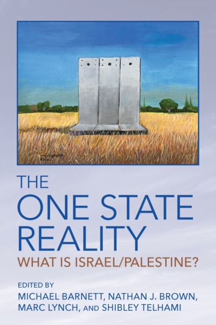 The One State Reality : What Is Israel/Palestine?, Paperback / softback Book