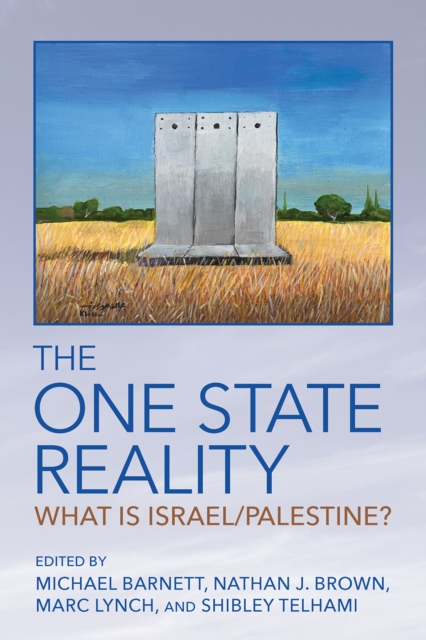 The One State Reality : What Is Israel/Palestine?, PDF eBook