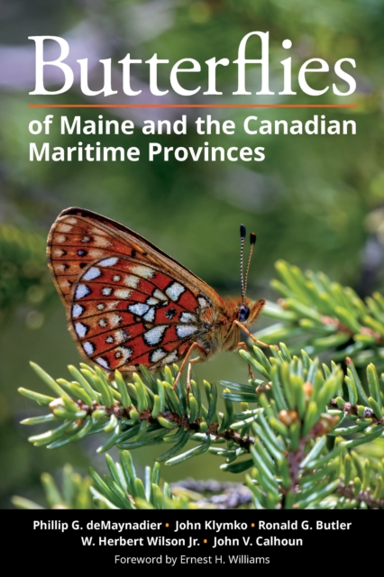 Butterflies of Maine and the Canadian Maritime Provinces, Paperback / softback Book