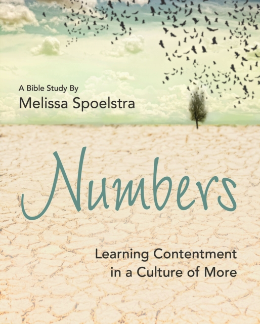 Numbers - Women's Bible Study Participant Workbook : Learning Contentment in a Culture of More, EPUB eBook