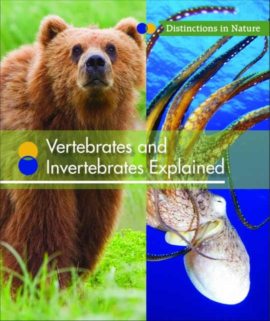 Vertebrates and Invertebrates Explained, PDF eBook