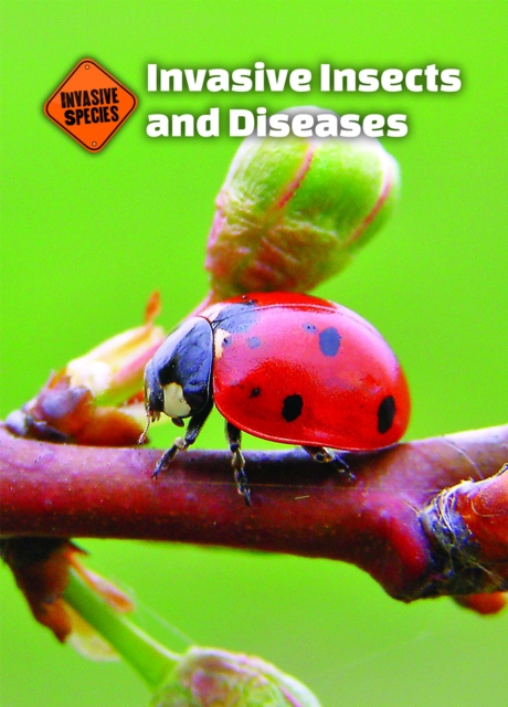 Invasive Insects and Diseases, PDF eBook