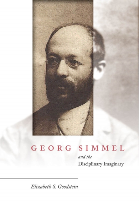 Georg Simmel and the Disciplinary Imaginary, EPUB eBook