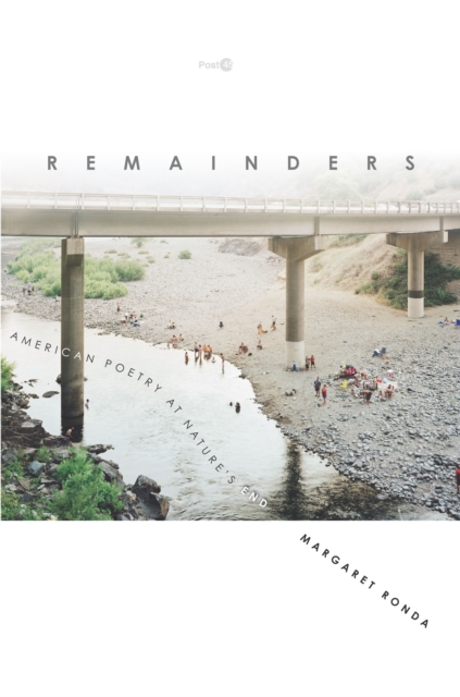 Remainders : American Poetry at Nature's End, EPUB eBook