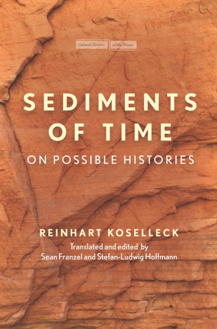 Sediments of Time : On Possible Histories, Paperback / softback Book