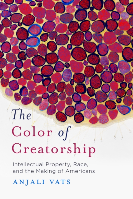 The Color of Creatorship : Intellectual Property, Race, and the Making of Americans, Paperback / softback Book