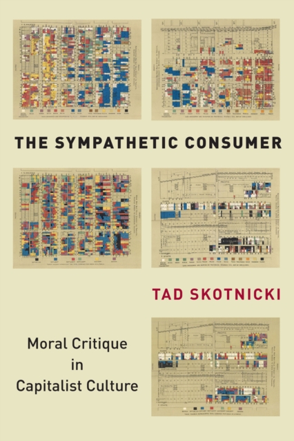 The Sympathetic Consumer : Moral Critique in Capitalist Culture, Paperback / softback Book