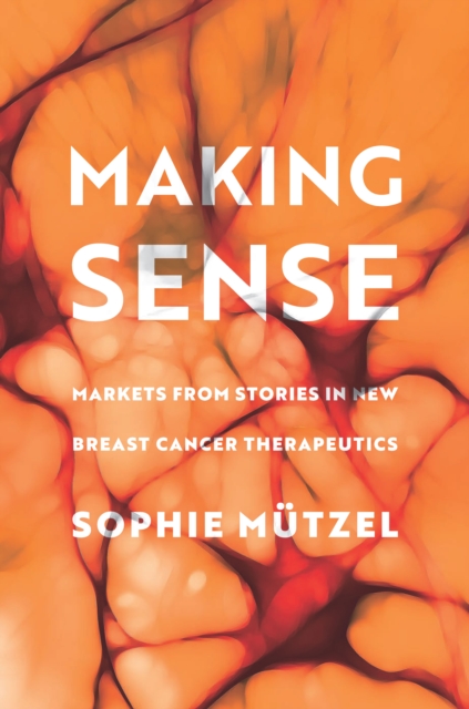Making Sense : Markets from Stories in New Breast Cancer Therapeutics, Paperback / softback Book