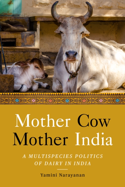 Mother Cow, Mother India : A Multispecies Politics of Dairy in India, Paperback / softback Book