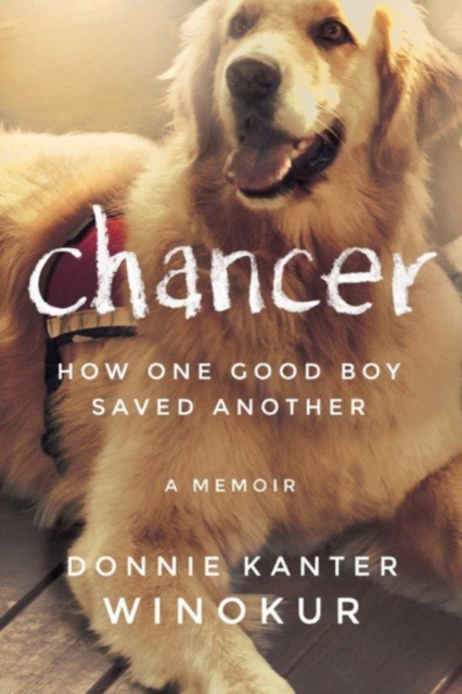 Chancer : How One Good Boy Saved Another, Paperback / softback Book