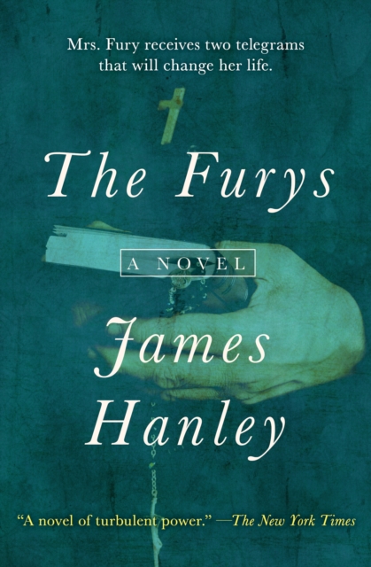 The Furys : A Novel, EPUB eBook