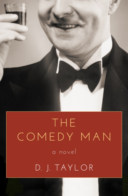 The Comedy Man : A Novel, EPUB eBook