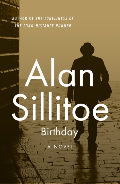 Birthday : A Novel, EPUB eBook