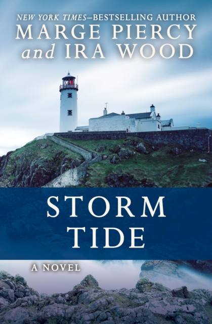 Storm Tide : A Novel, EPUB eBook