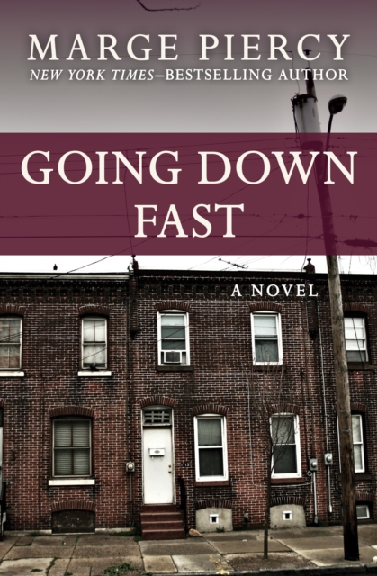 Going Down Fast : A Novel, EPUB eBook