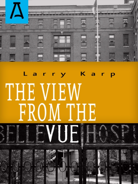 The View from the Vue, EPUB eBook