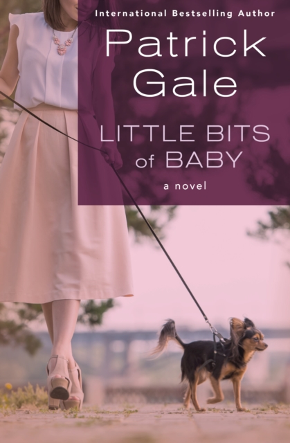 Little Bits of Baby : A Novel, EPUB eBook
