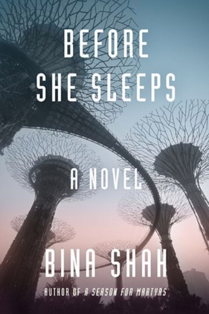 Before She Sleeps : A Novel, EPUB eBook